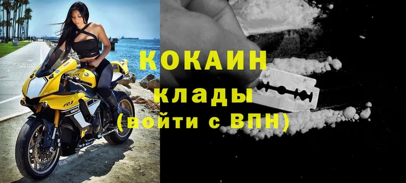 купить закладку  Дубна  Cocaine 98% 